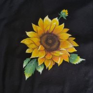 مژگان هاشمی
