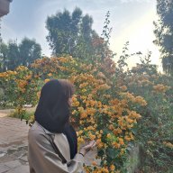 آهو شاهدی