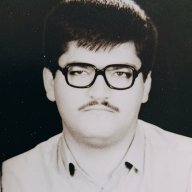 مهرداد شیبانی